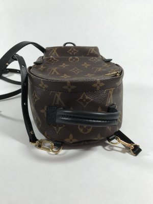 Louis Vuitton Mini PalmSpring