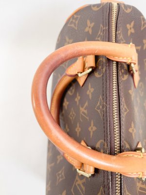 Louis Vuitton Speedy 25 Monogram Canvas