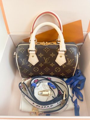 Louis Vuitton Speedy 20