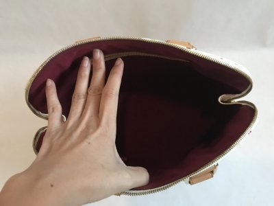 Louis Vuitton Alma PM Multicolore