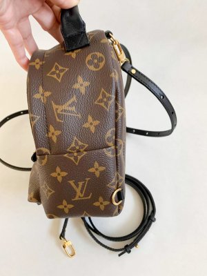 Louis Vuitton Mini Palm Spring