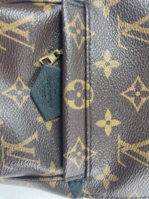 Louis Vuitton Mini PalmSpring backpack