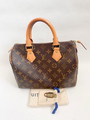 Louis Vuitton Speedy 25 Monogram Canvas