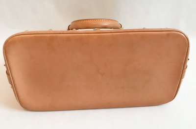 Louis Vuitton Alma PM Multicolore