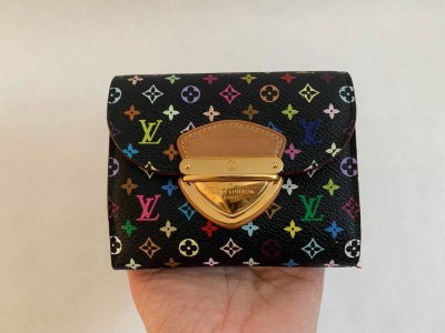 Louis Vuitton Compact Wallet Multicolor