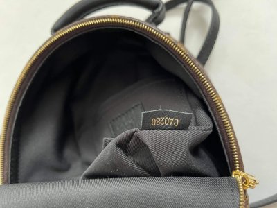 Louis Vuitton Mini Palmspring Backpack