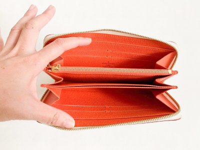 Louis Vuitton Zippy Wallet Multicolore