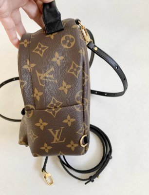 Louis Vuitton Mini PalmSpring