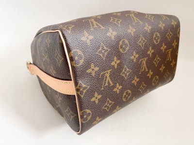 Louis Vuitton Speedy 25 Bandolier Monogram Canvas