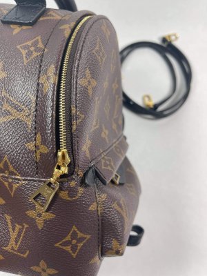 Louis Vuitton Mini PalmSpring backpack