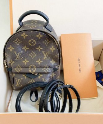 Louis Vuitton Mini PalmSpring