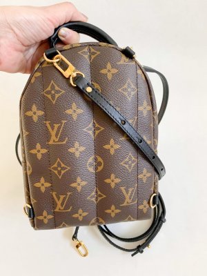 Louis Vuitton Mini Palm Spring