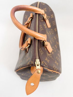 Louis Vuitton Speedy 25 Monogram Canvas