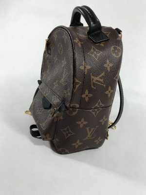 Louis Vuitton Mini PalmSpring