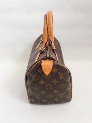 Louis Vuitton Speedy 25 Monogram Canvas